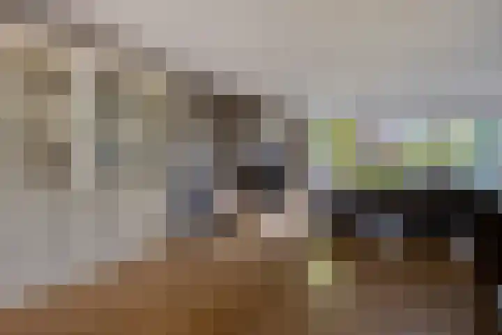 De Gijster 28 Made thumbnail 7