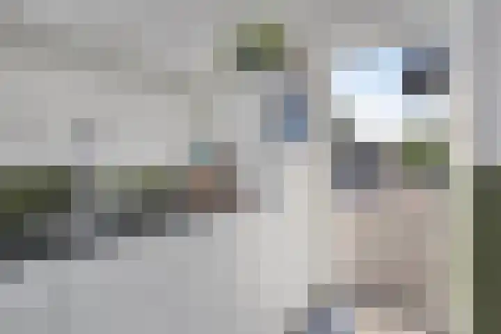De Gijster 44 Made thumbnail 20