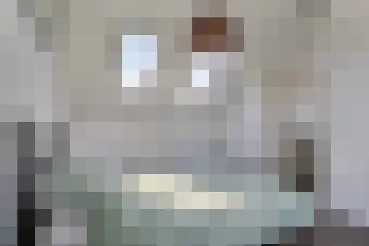 De Gijster 44 Made thumbnail 34
