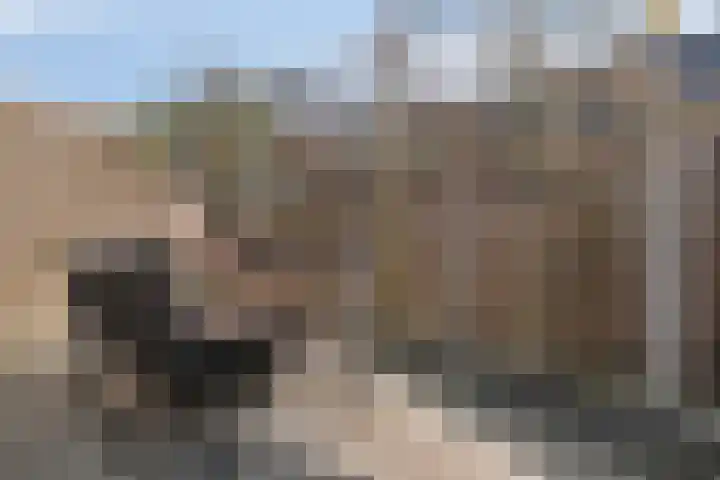 De Gijster 44 Made thumbnail 38