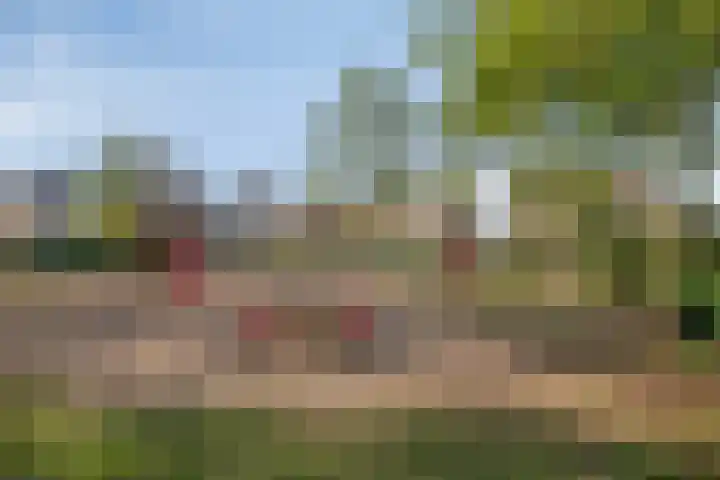 De Gijster 44 Made thumbnail 45