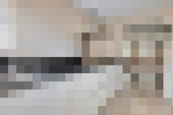 De Gijster 56 Made thumbnail 17