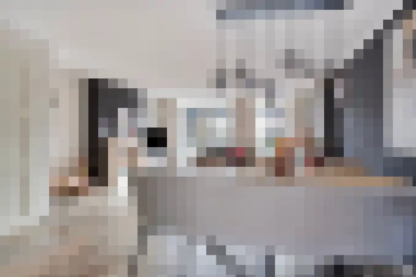 De Gijster 56 Made thumbnail 22