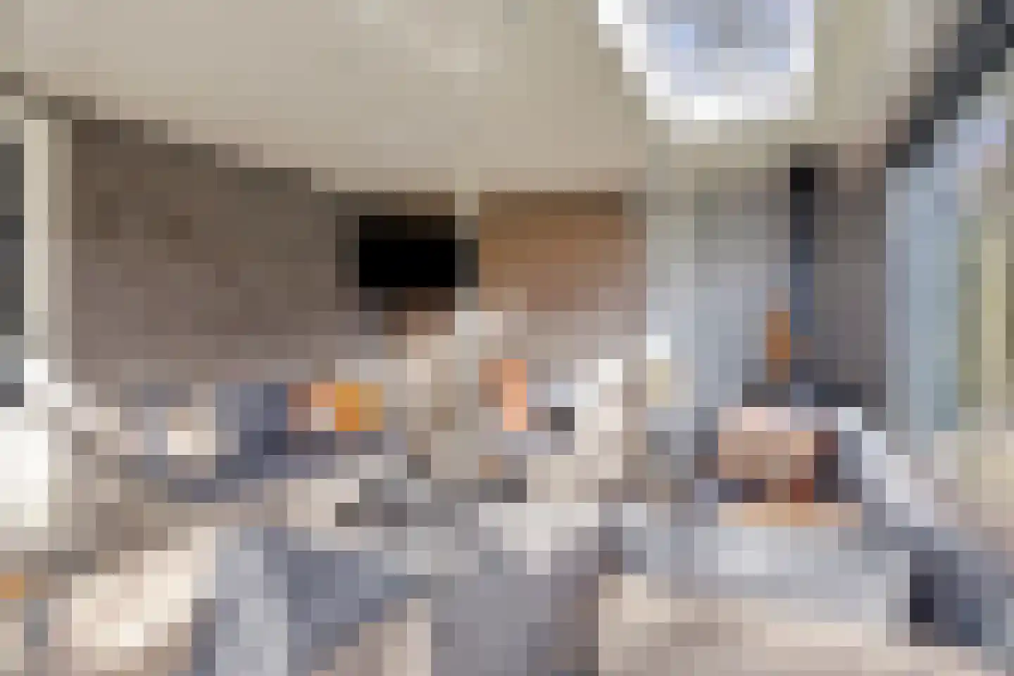 De Gijster 56 Made thumbnail 25