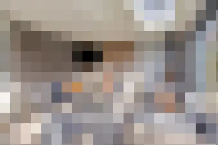 De Gijster 56 Made thumbnail 25