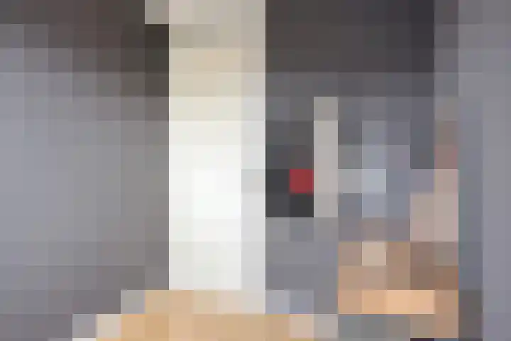 De Gijster 56 Made thumbnail 30