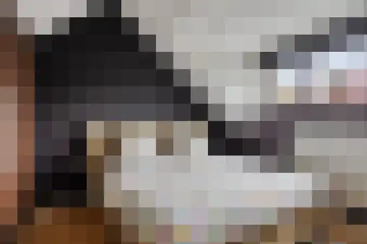De Gijster 56 Made thumbnail 31