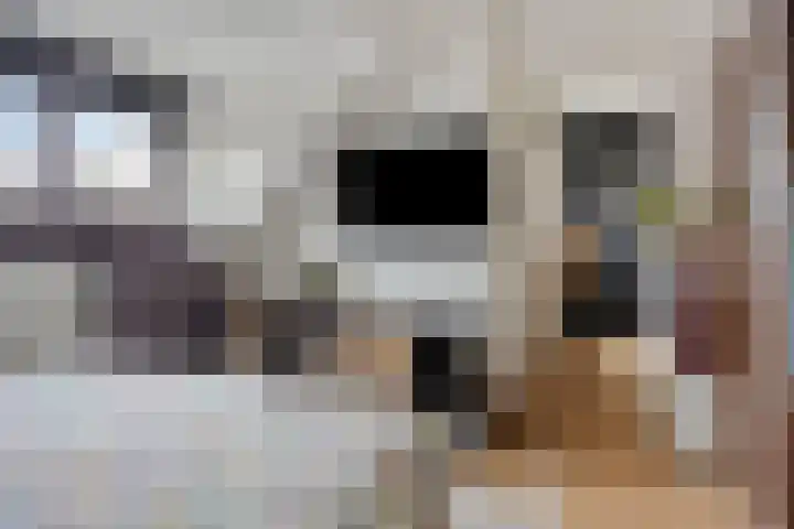 De Gijster 56 Made thumbnail 32