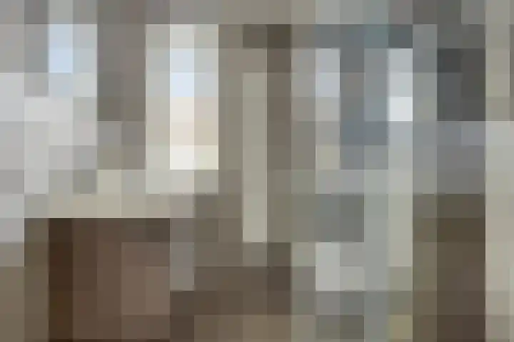 De Gijster 56 Made thumbnail 33