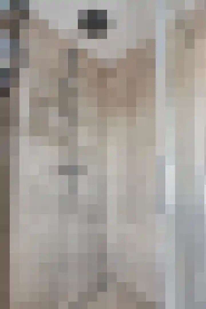 De Gijster 56 Made thumbnail 35