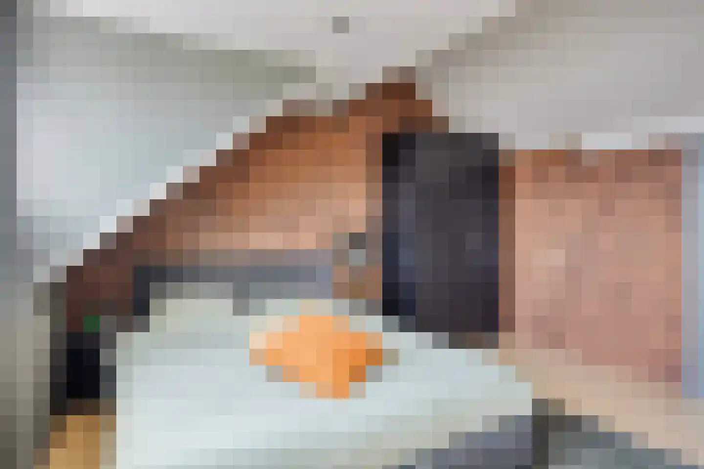 De Gijster 56 Made thumbnail 44