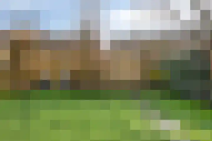 De Gijster 56 Made thumbnail 46