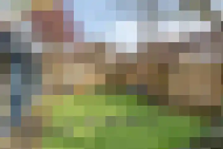 De Gijster 56 Made thumbnail 47