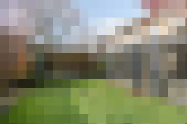 De Gijster 56 Made thumbnail 48