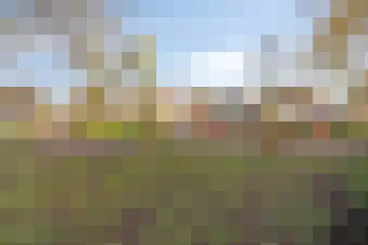 De Gijster 56 Made thumbnail 50