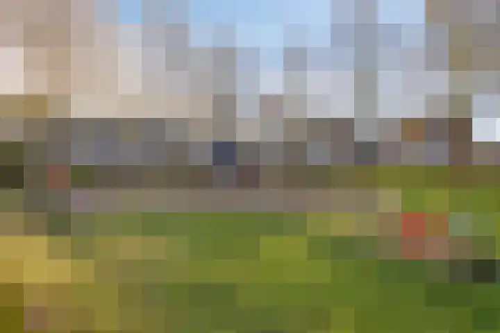 De Gijster 56 Made thumbnail 51