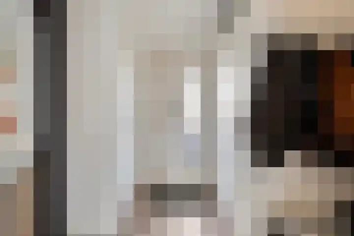 De Gijster 56 Made thumbnail 8