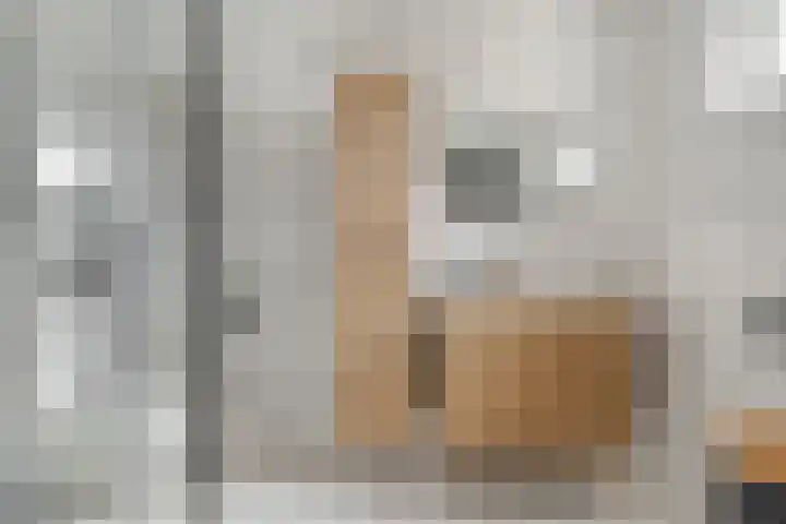 De Gijster 68 Made thumbnail 10