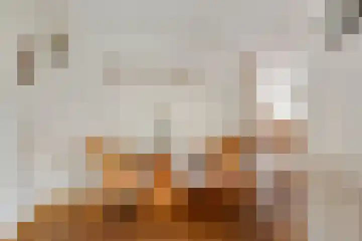 De Gijster 68 Made thumbnail 19