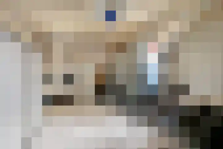 De Gijster 68 Made thumbnail 20
