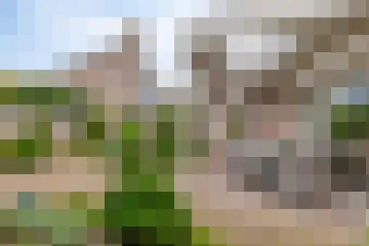 De Gijster 68 Made thumbnail 29