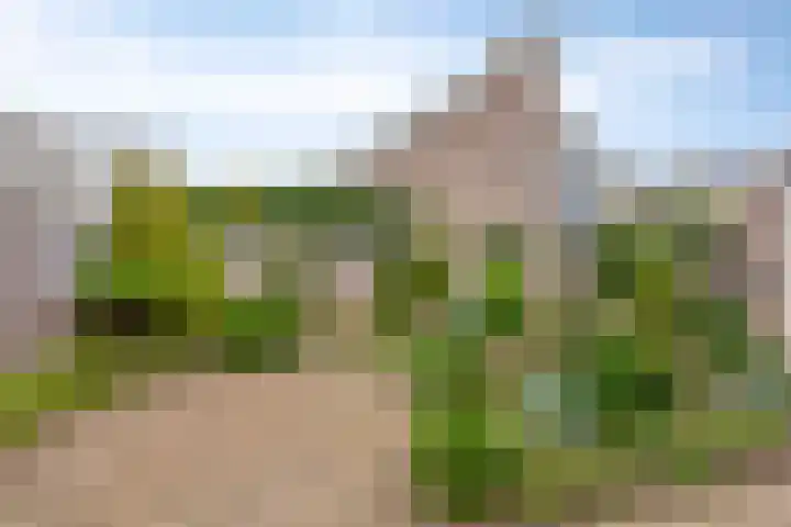 De Gijster 68 Made thumbnail 30
