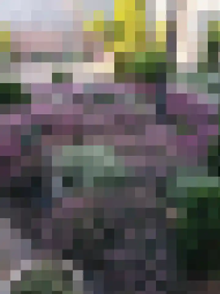 De Gijster 68 Made thumbnail 33