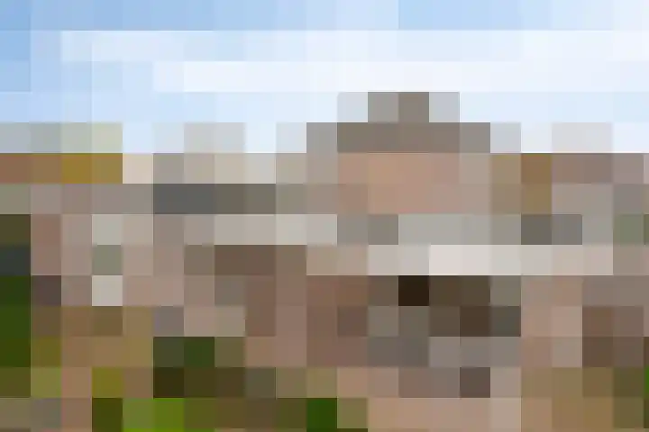 De Gijster 68 Made thumbnail 35