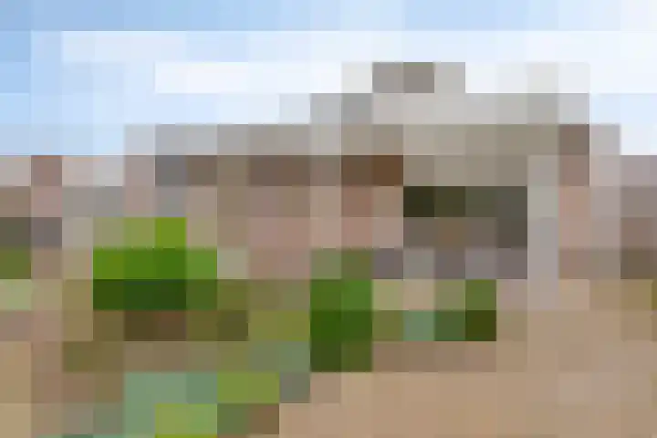 De Gijster 68 Made thumbnail 5