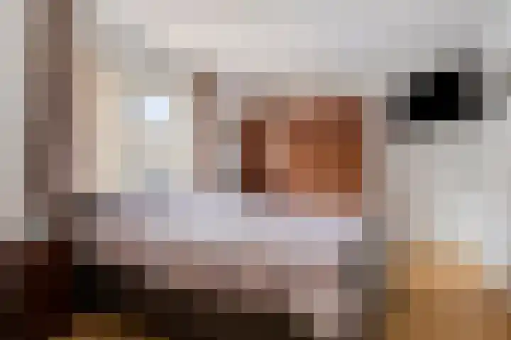 De Gijster 68 Made thumbnail 8