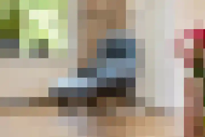 De Gijzel 7 Helvoirt thumbnail 16
