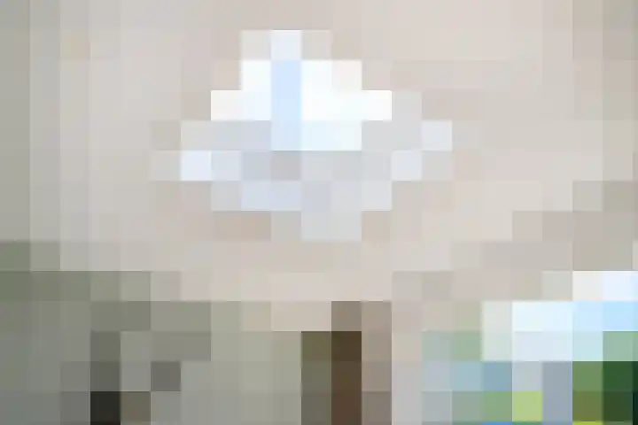 De Gijzel 7 Helvoirt thumbnail 19