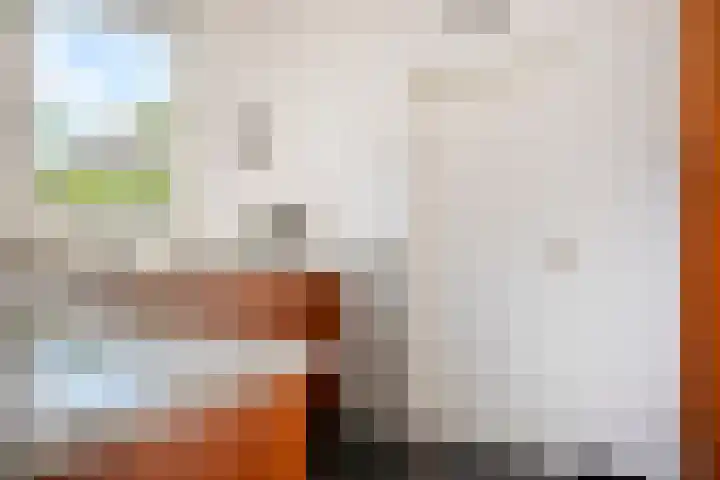 De Gijzel 7 Helvoirt thumbnail 20