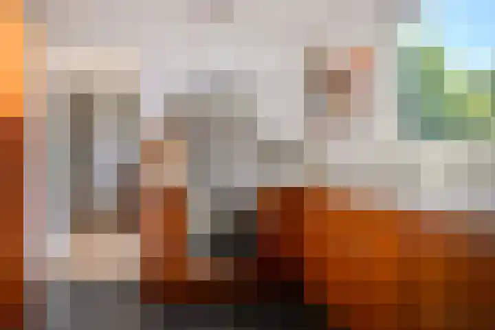 De Gijzel 7 Helvoirt thumbnail 21