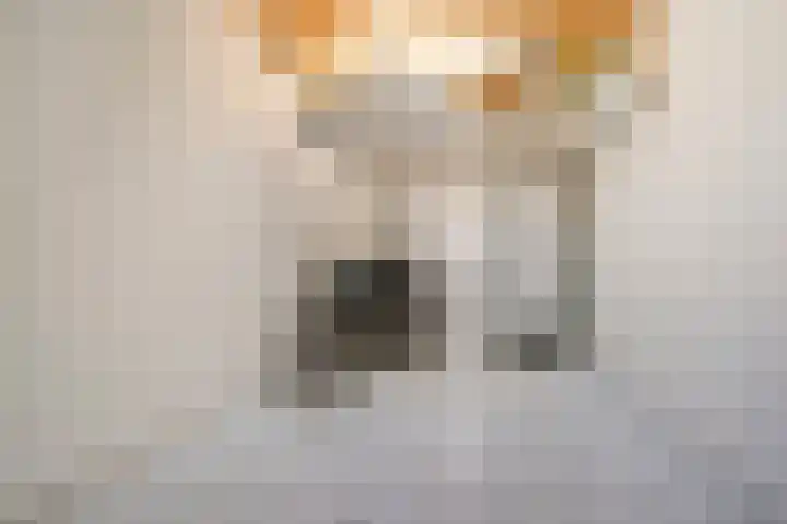 De Gijzel 7 Helvoirt thumbnail 23