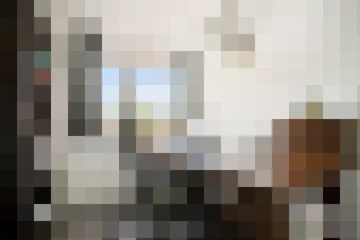 De Gijzel 7 Helvoirt thumbnail 34