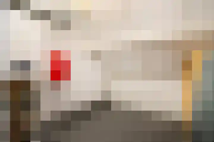 De Gijzel 7 Helvoirt thumbnail 36