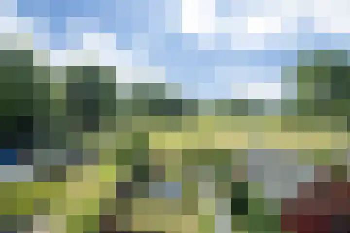 De Gijzel 7 Helvoirt thumbnail 39