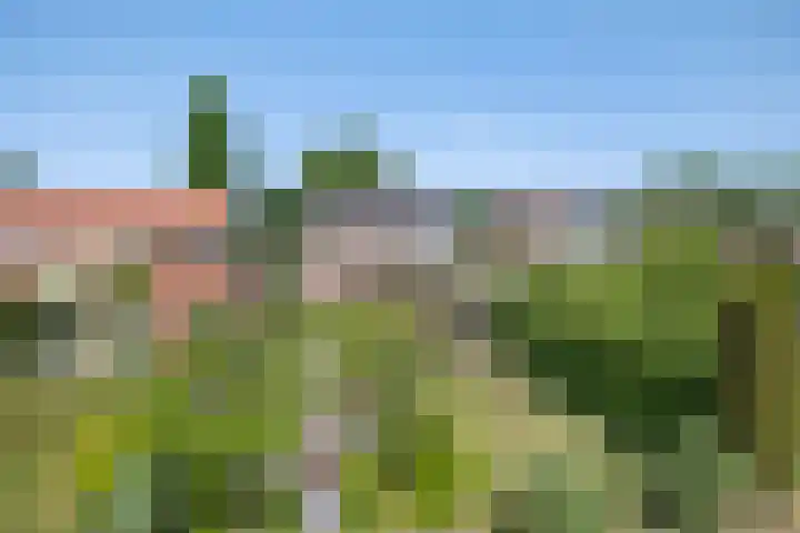 De Gijzel 7 Helvoirt thumbnail 40