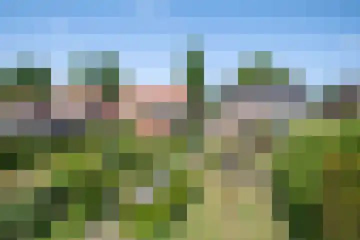 De Gijzel 7 Helvoirt thumbnail 42