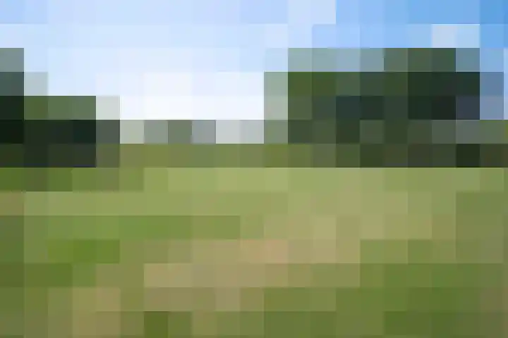 De Gijzel 7 Helvoirt thumbnail 43