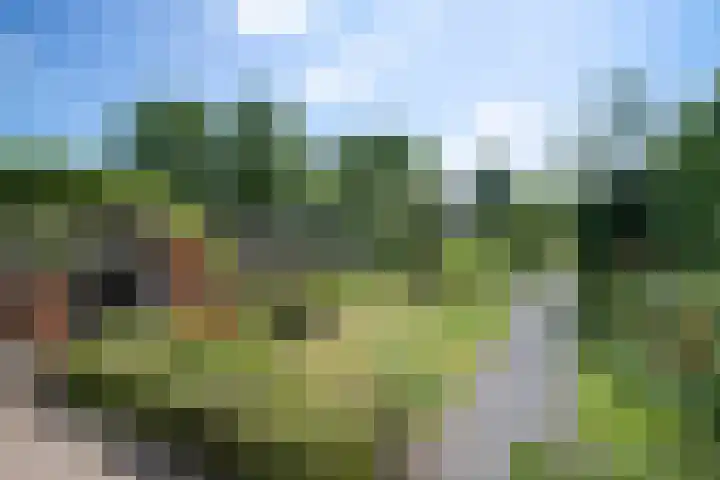 De Gijzel 7 Helvoirt thumbnail 44