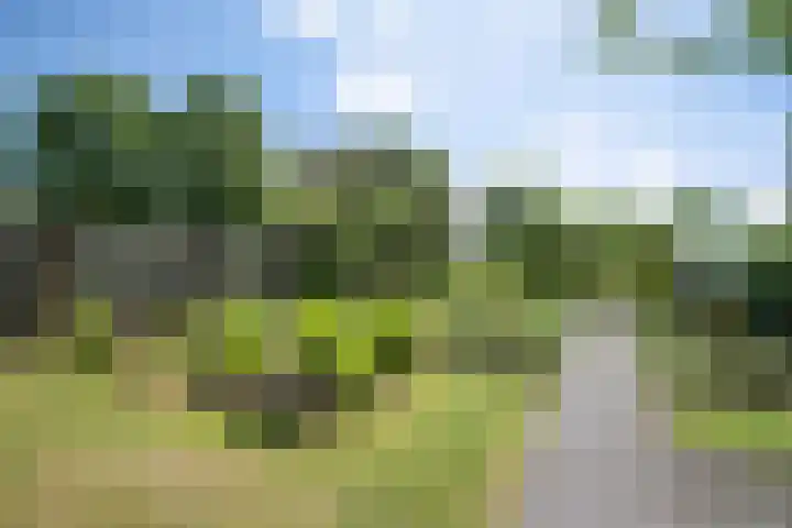 De Gijzel 7 Helvoirt thumbnail 45