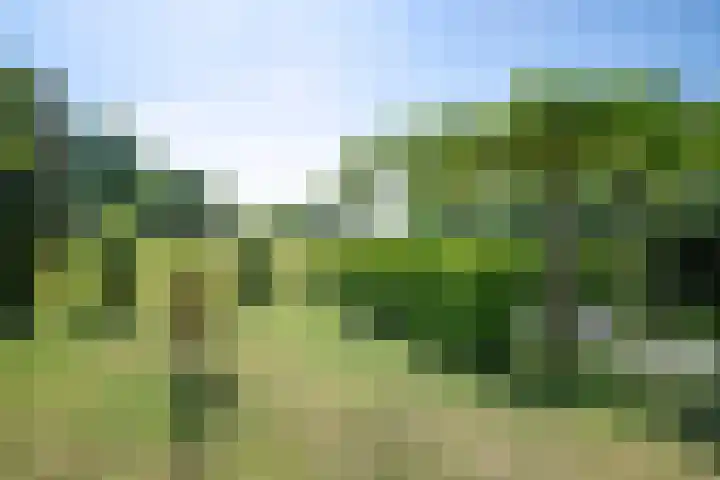 De Gijzel 7 Helvoirt thumbnail 46