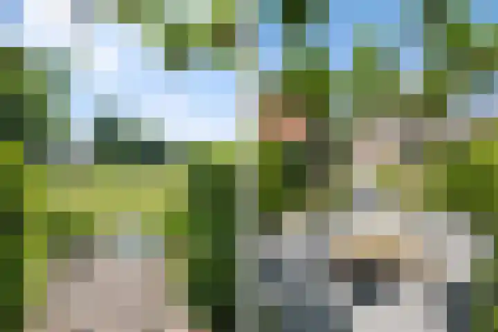De Gijzel 7 Helvoirt thumbnail 48