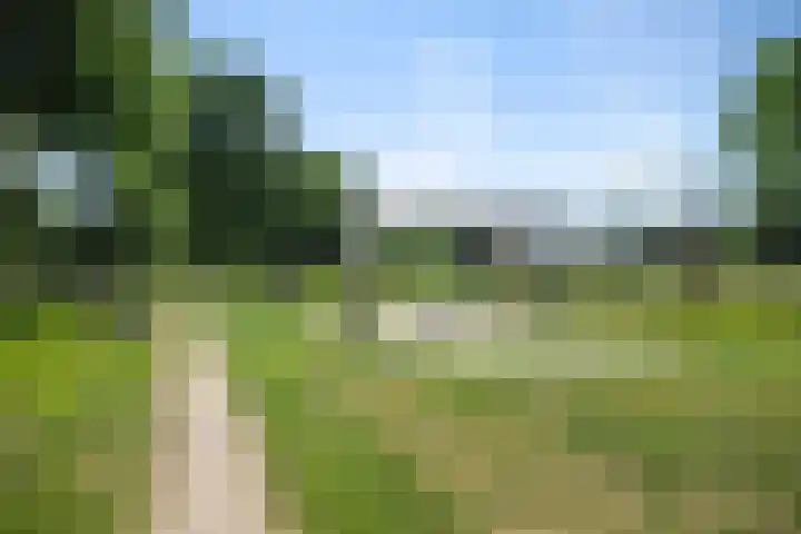 De Gijzel 7 Helvoirt thumbnail 49