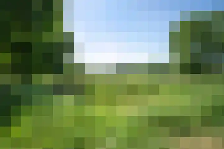 De Gijzel 7 Helvoirt thumbnail 50