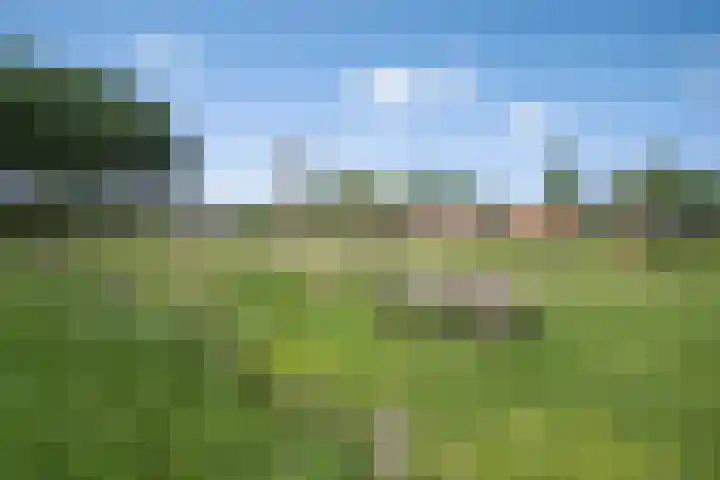 De Gijzel 7 Helvoirt thumbnail 51