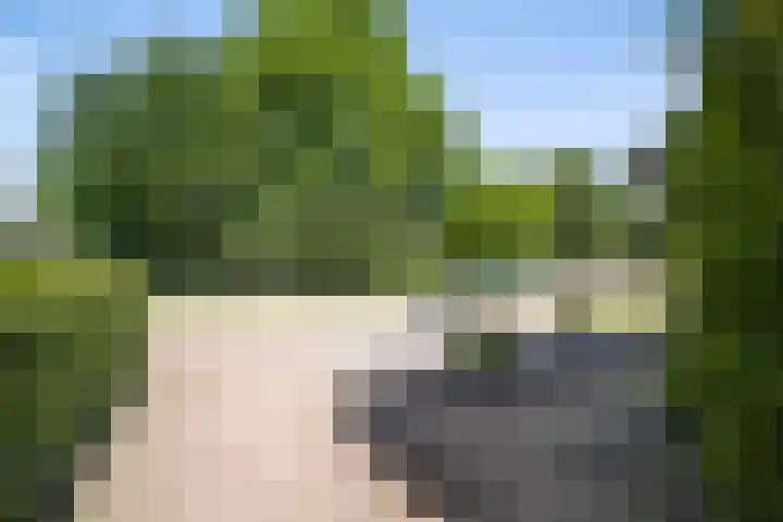 De Gijzel 7 Helvoirt thumbnail 9