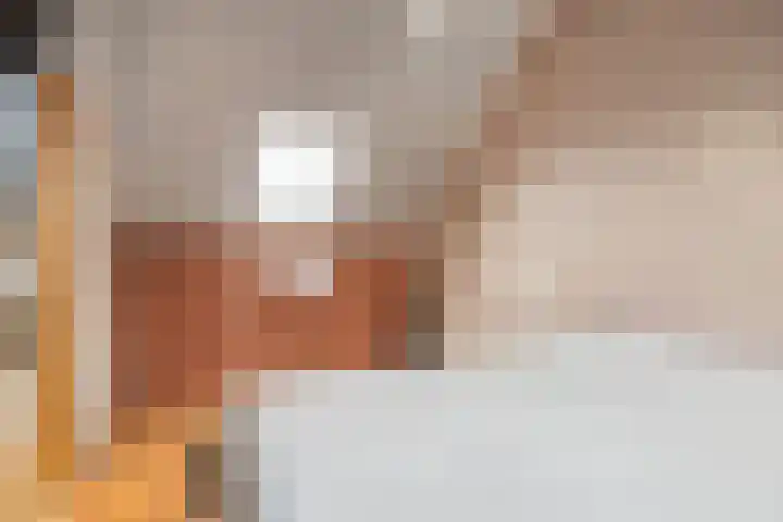 de Gildekamp 1026 Nijmegen thumbnail 28